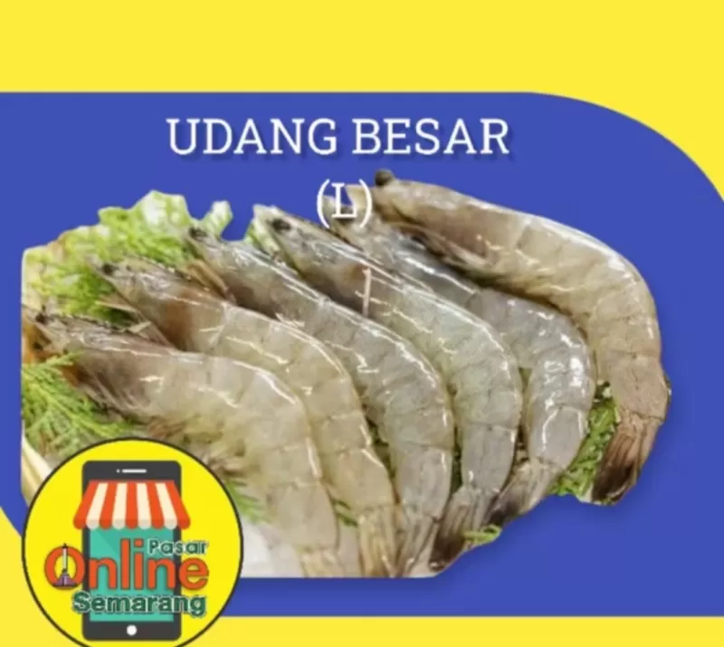 Udang Besar Segar
